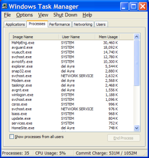 Task Manager Snapshot: Real-Time Protection With Avira